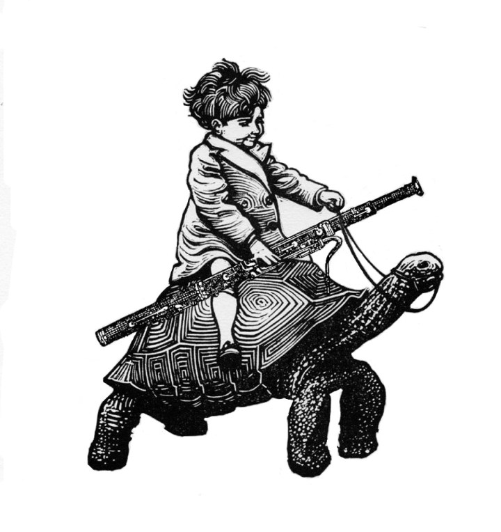 bassoon turtle