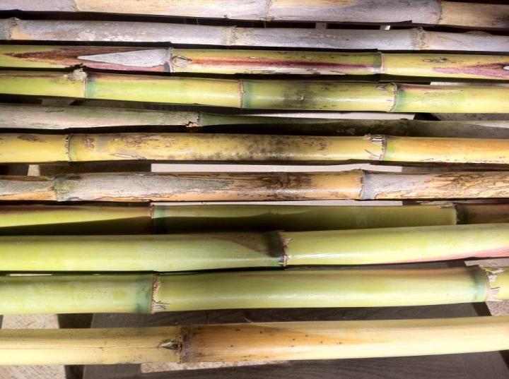 481428_4644506303615_499657917_n