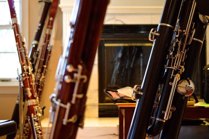 Bassoon Collection